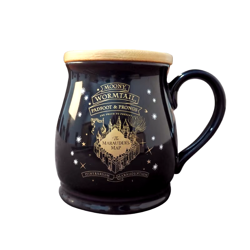 Wizard Map Temperature Changing Mug